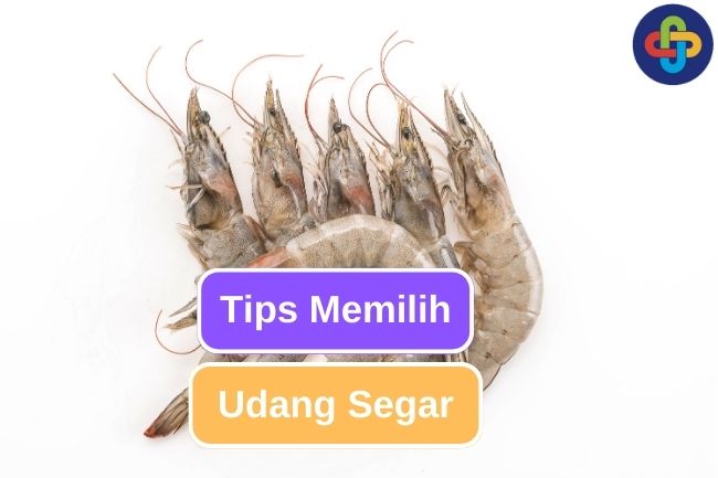 9 Tips Untuk Memilih Udang Segar